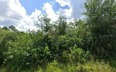 2336 Drennon Street Port Charlotte FL 33953
