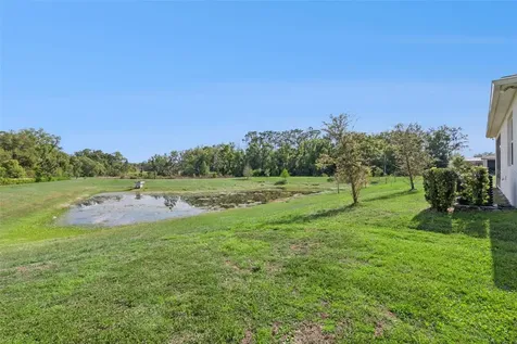 5064 Meadow Song Drive Leesburg FL 34748