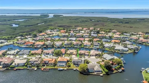 9821 Bay Island Drive Tampa FL 33615