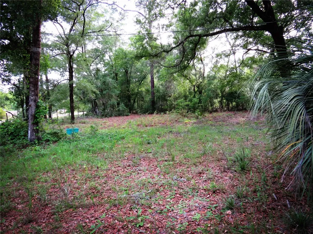 118 Millcreek Drive Melrose FL 32666
