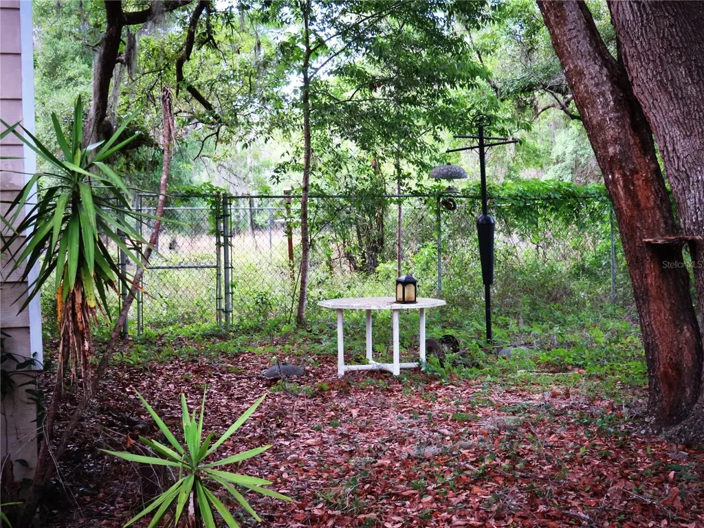 118 Millcreek Drive Melrose FL 32666