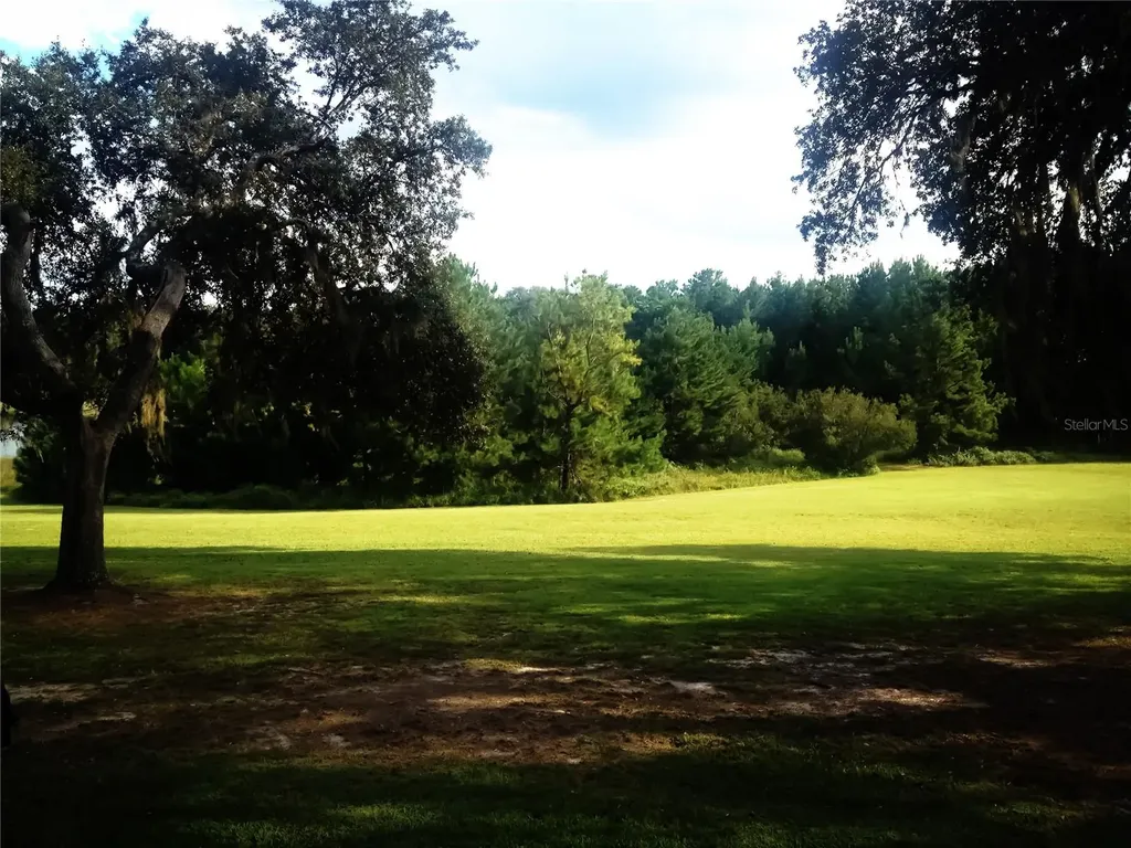 118 Millcreek Drive Melrose FL 32666
