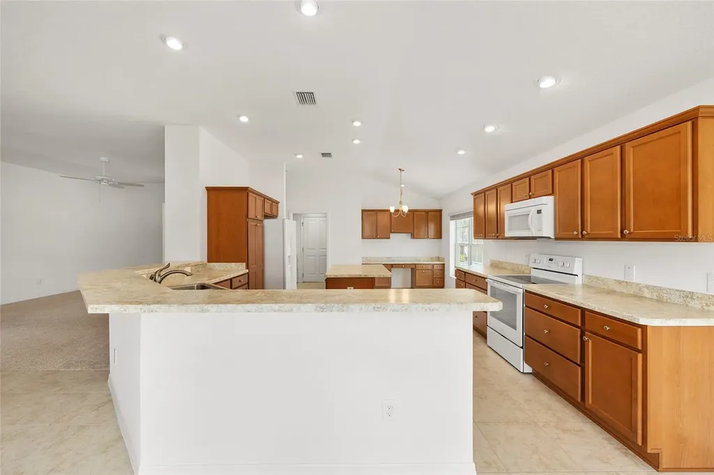 1953 Yearling Way The Villages FL 32163