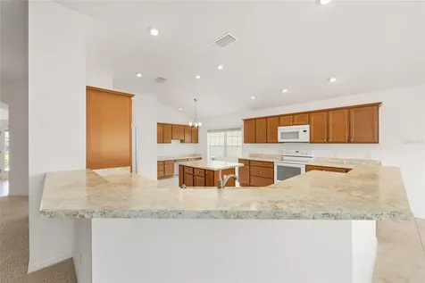 1953 Yearling Way The Villages FL 32163