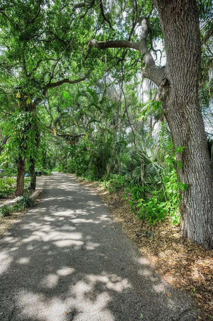 404 Marshall Street Safety Harbor FL 34695