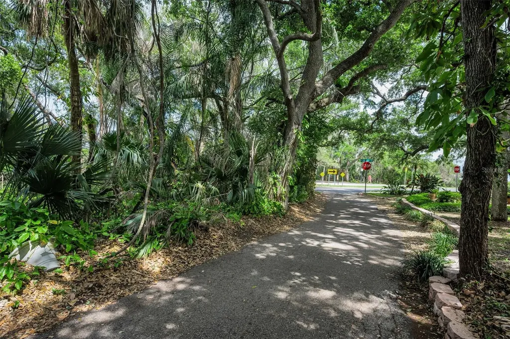 404 Marshall Street Safety Harbor FL 34695