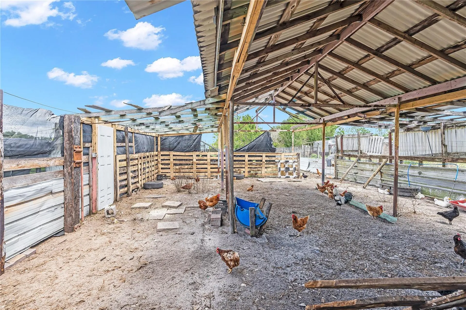 1321 Bluff Hammock Road Lorida FL 33857