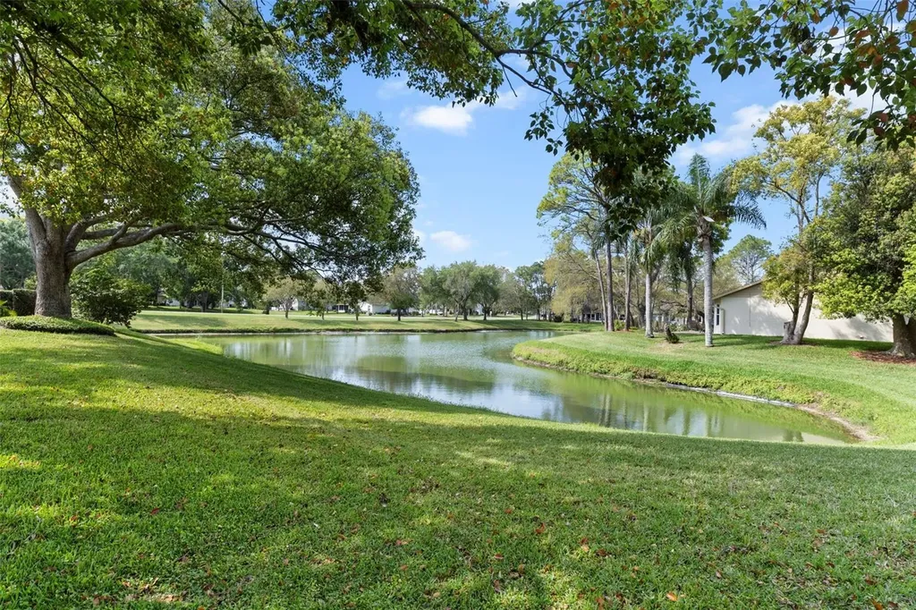 3047 Rippling Brook Way Spring Hill FL 34606