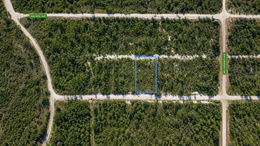 612 Scaup Avenue Sebring FL 33872