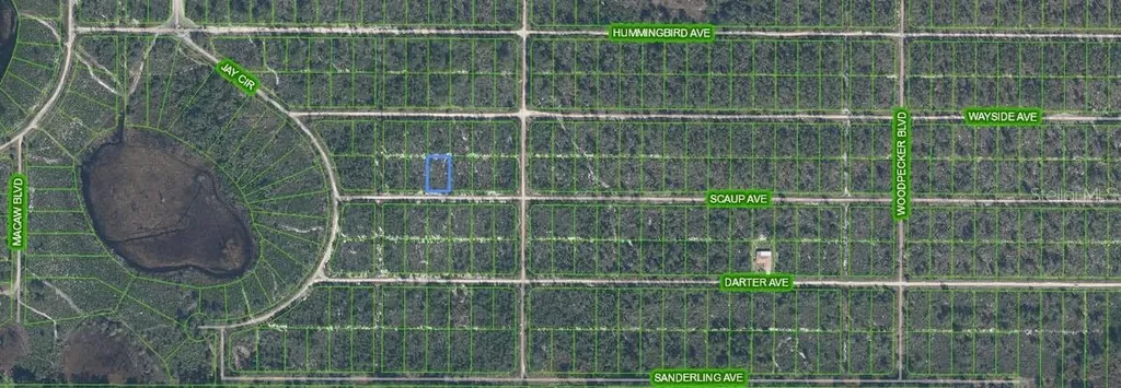 612 Scaup Avenue Sebring FL 33872