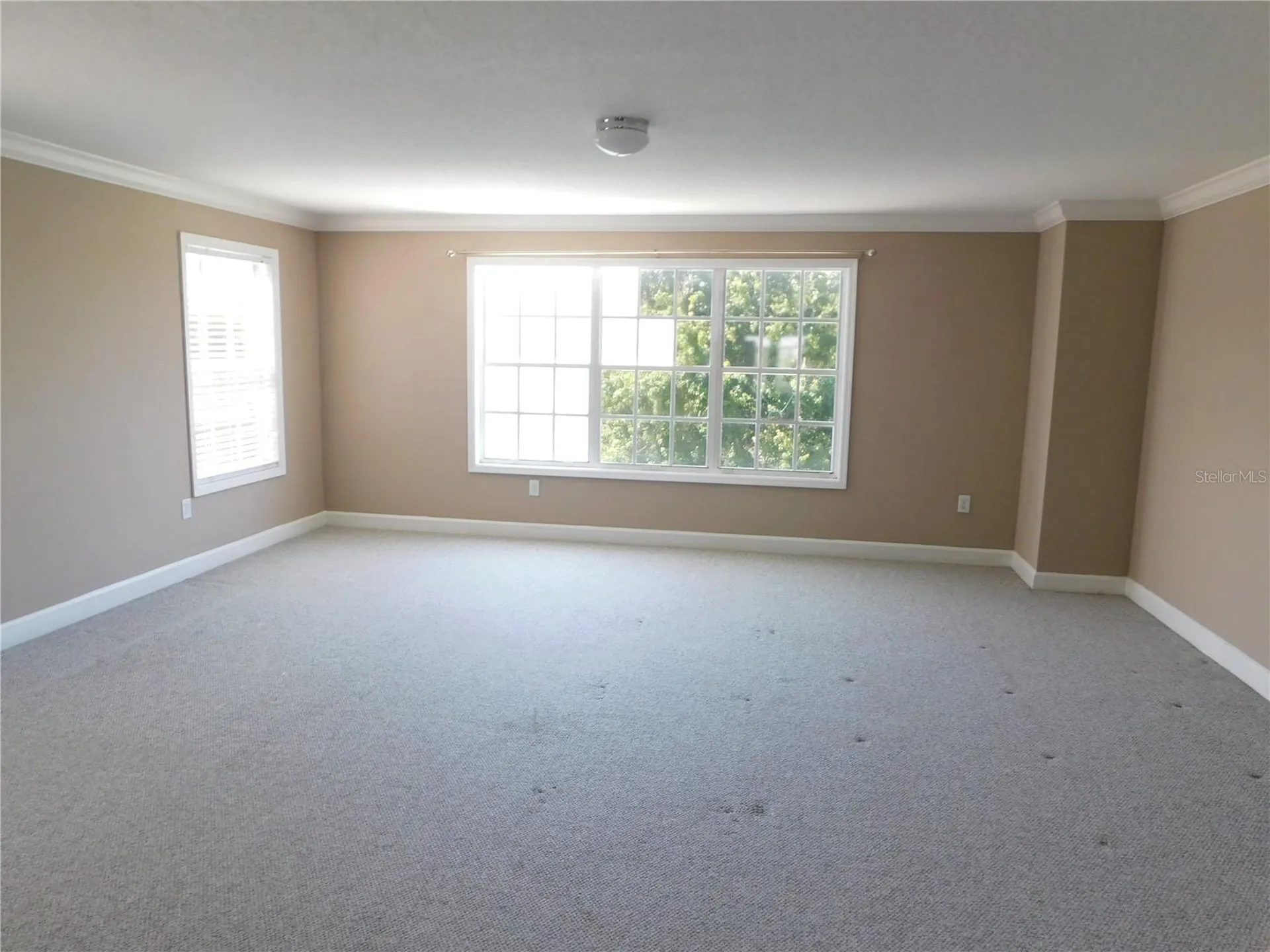 1720 Arabian Lane Palm Harbor FL 34685