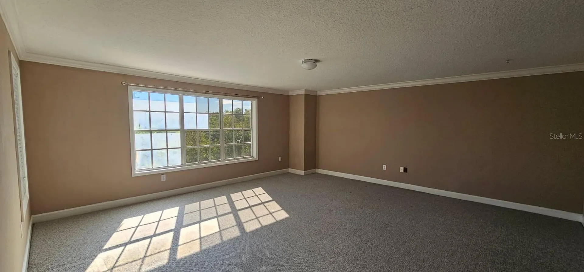1720 Arabian Lane Palm Harbor FL 34685