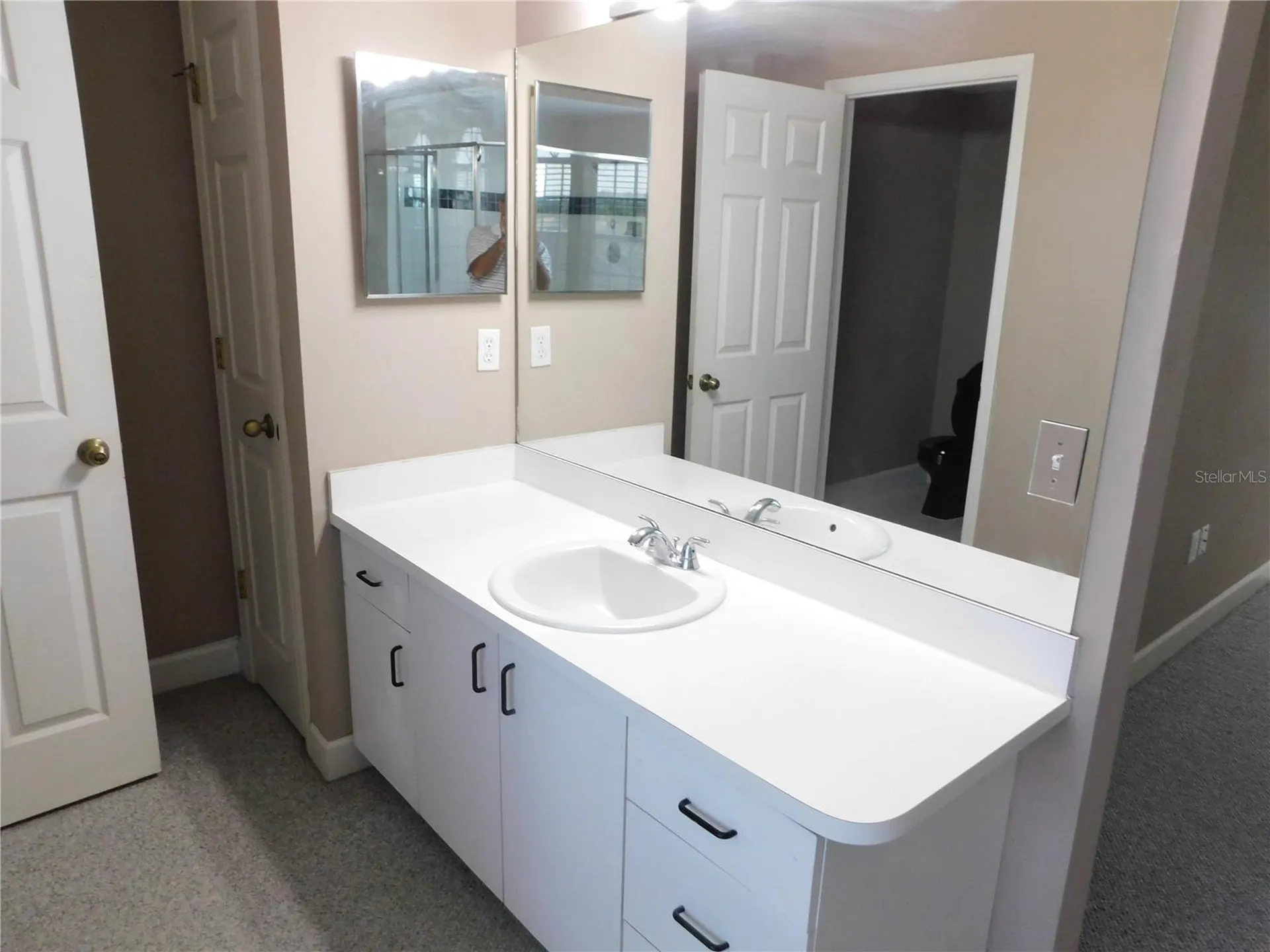 1720 Arabian Lane Palm Harbor FL 34685