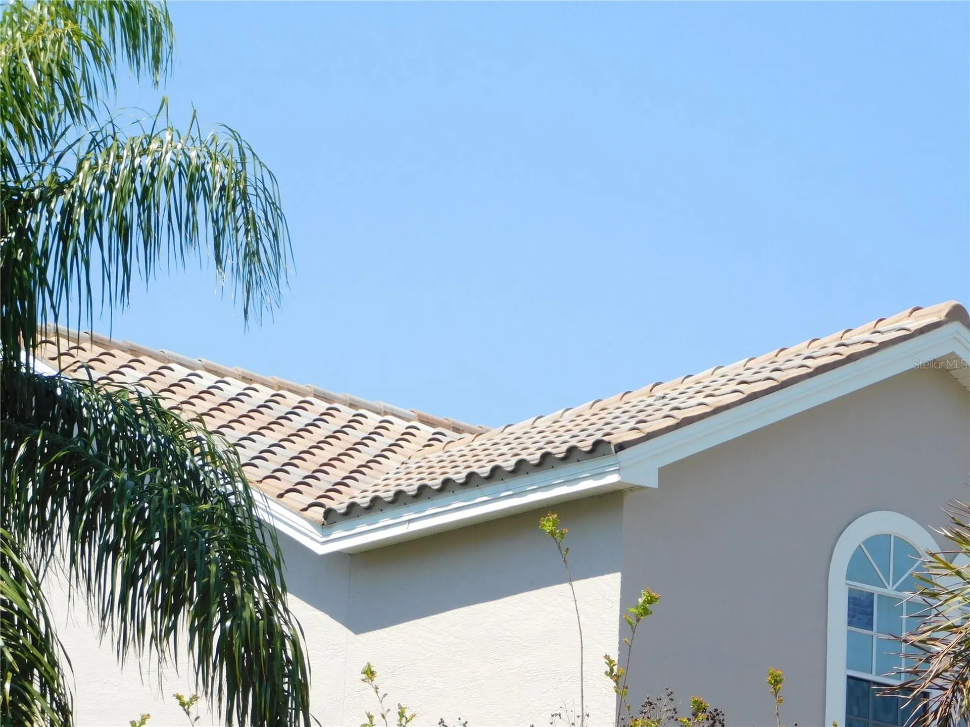 1720 Arabian Lane Palm Harbor FL 34685