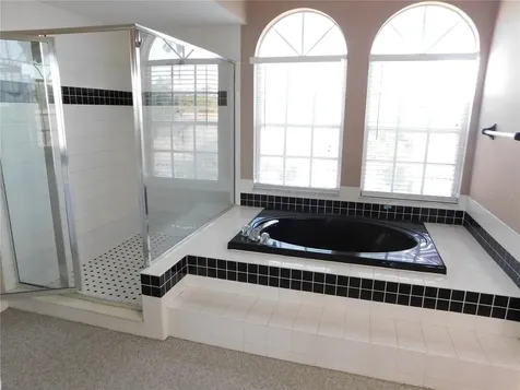 1720 Arabian Lane Palm Harbor FL 34685