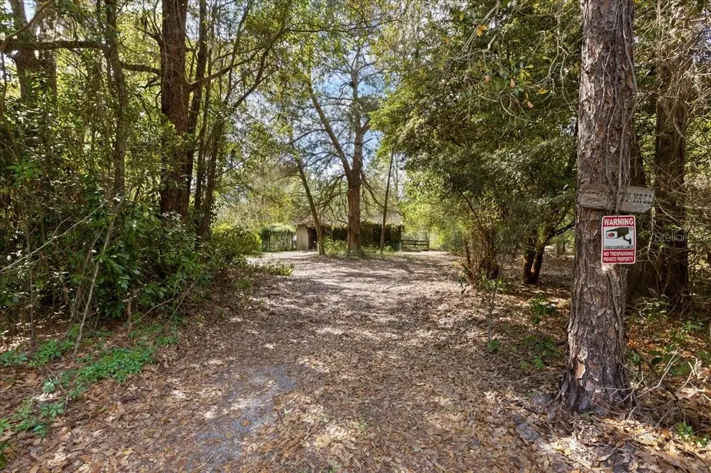 6950 SE Highway 41 Morriston FL 32668