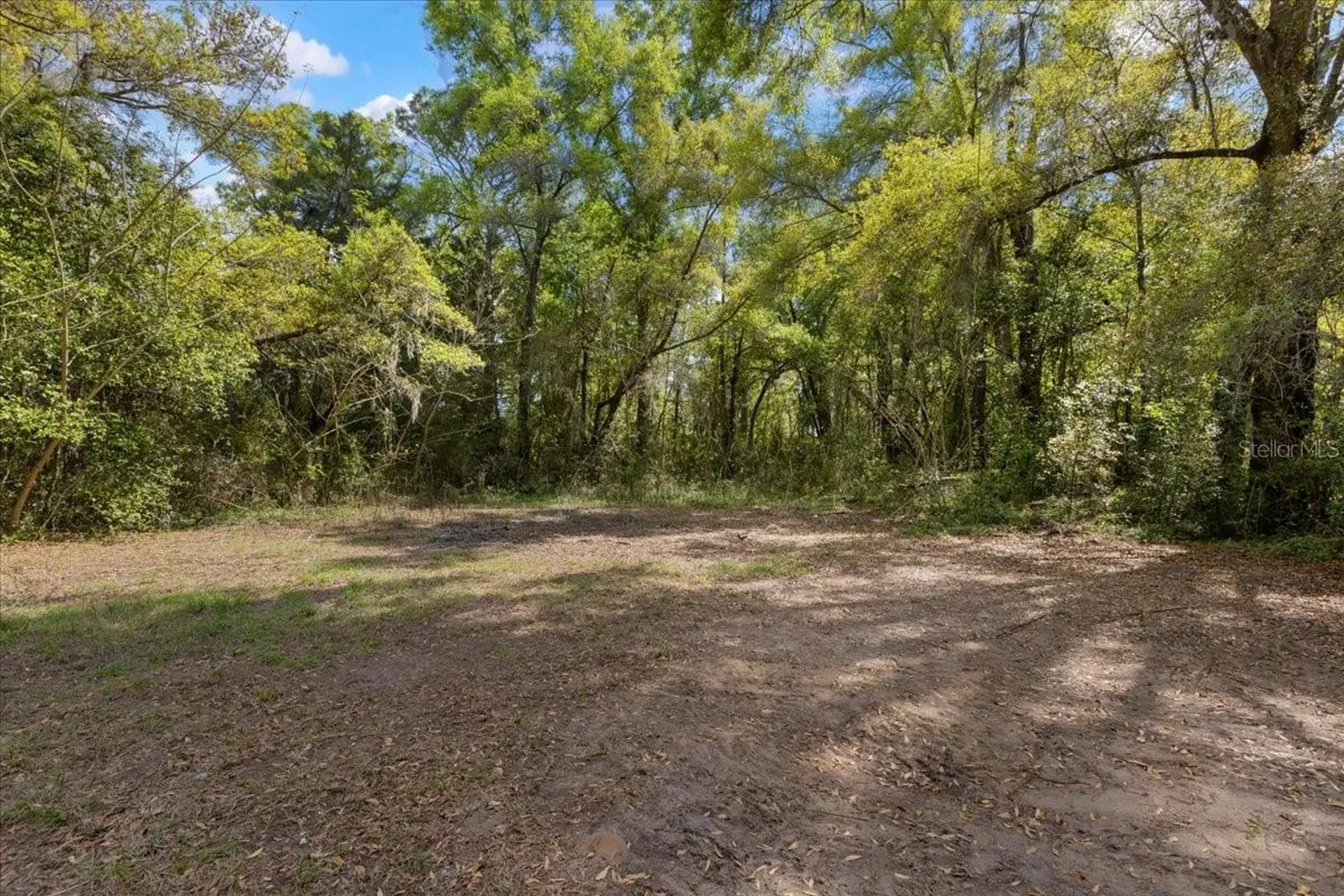 6950 SE Highway 41 Morriston FL 32668