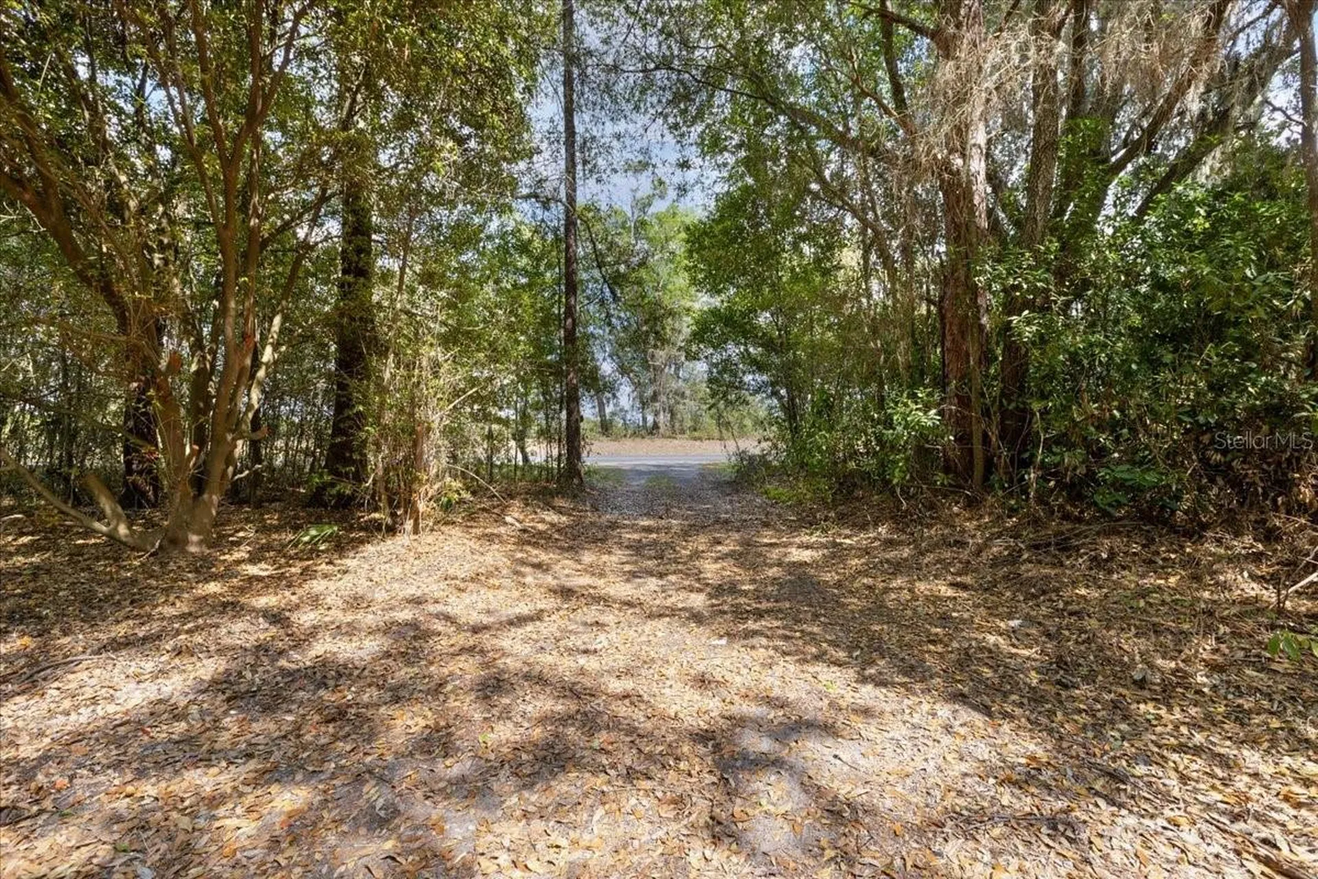 6950 SE Highway 41 Morriston FL 32668