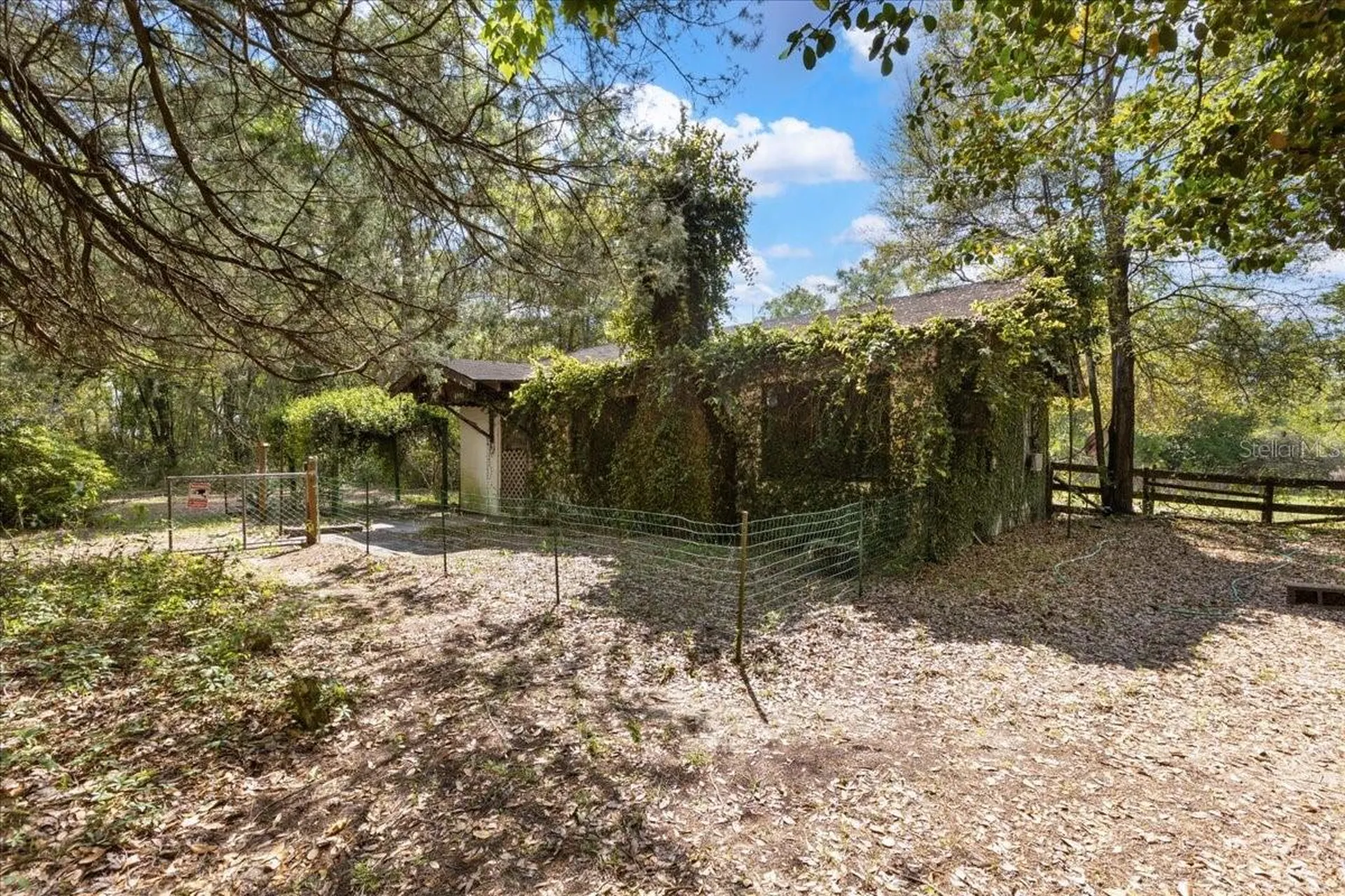 6950 SE Highway 41 Morriston FL 32668