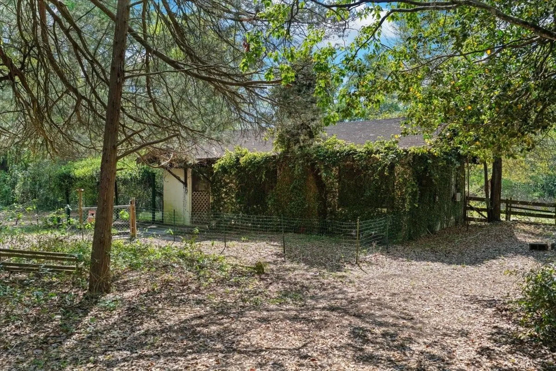 6950 SE Highway 41 Morriston FL 32668