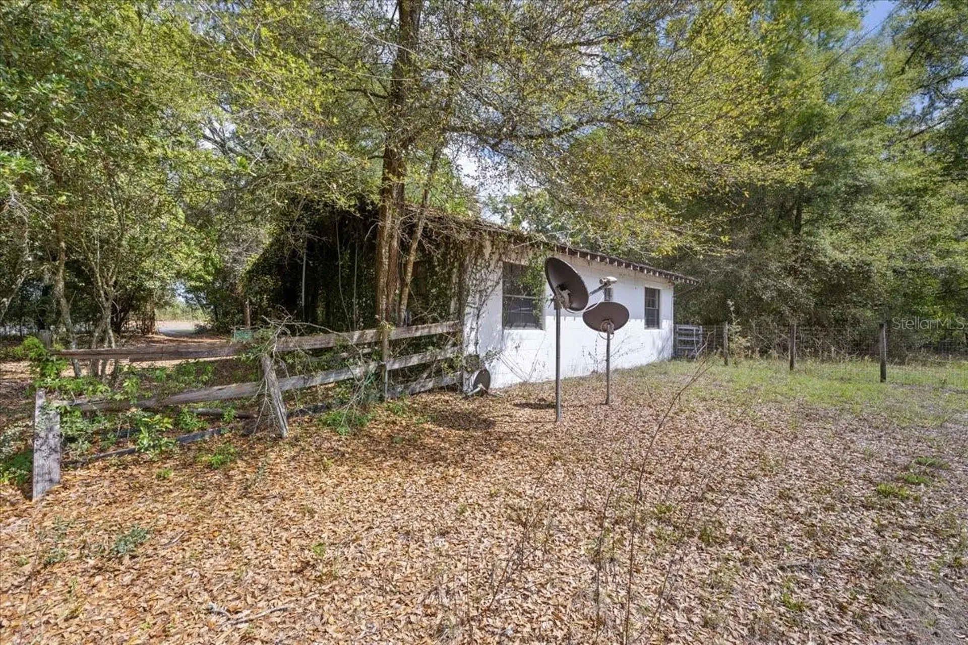 6950 SE Highway 41 Morriston FL 32668