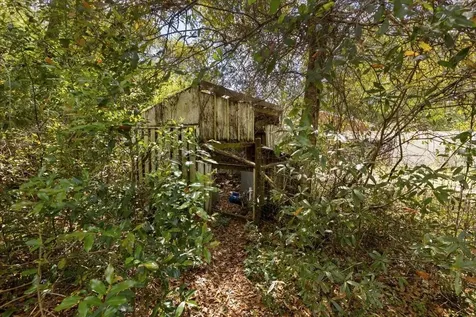 6950 SE Highway 41 Morriston FL 32668