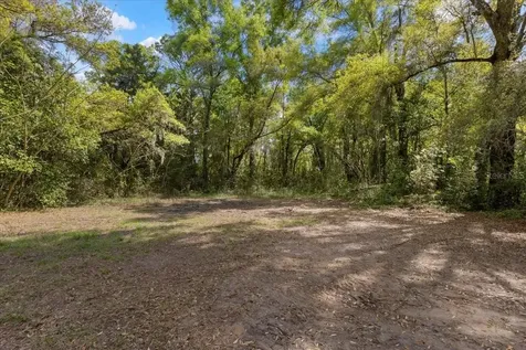 6950 SE Highway 41 Morriston FL 32668