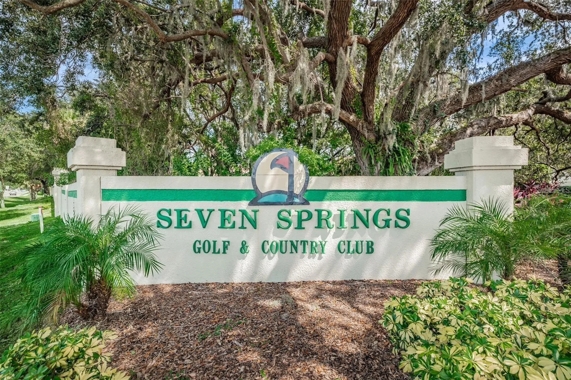 3521 Teeside Drive New Port Richey FL 34655