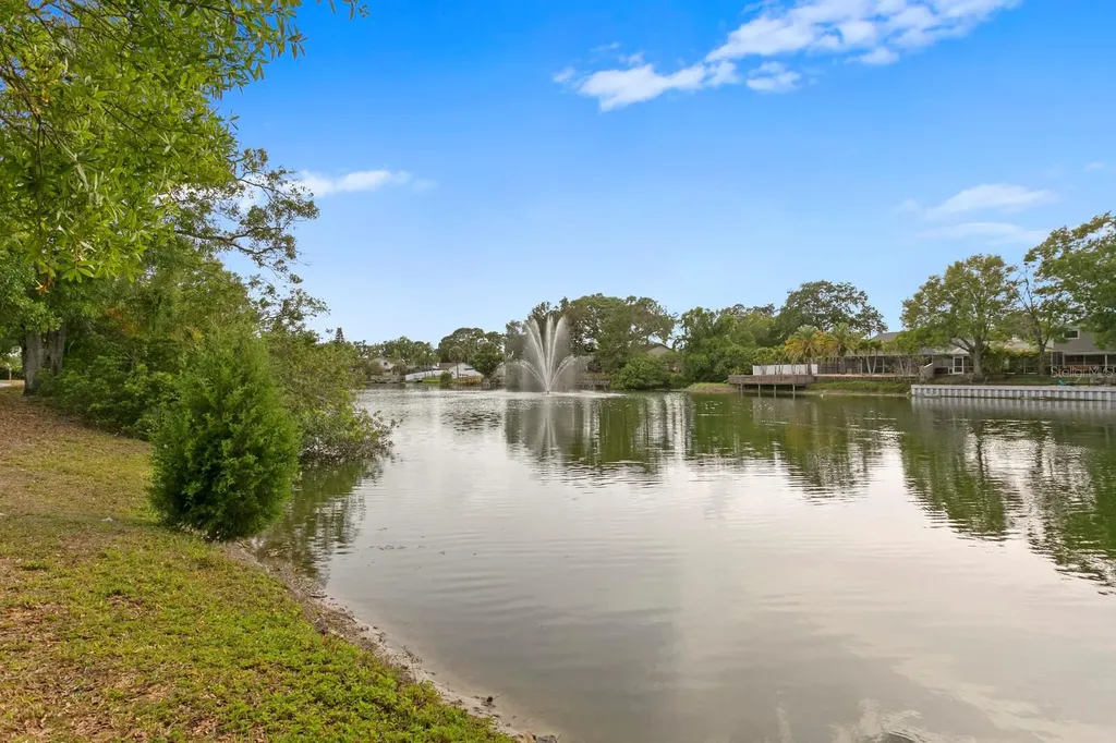 6404 Heather Moor Court Tampa FL 33634