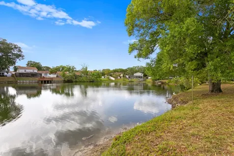 6404 Heather Moor Court Tampa FL 33634