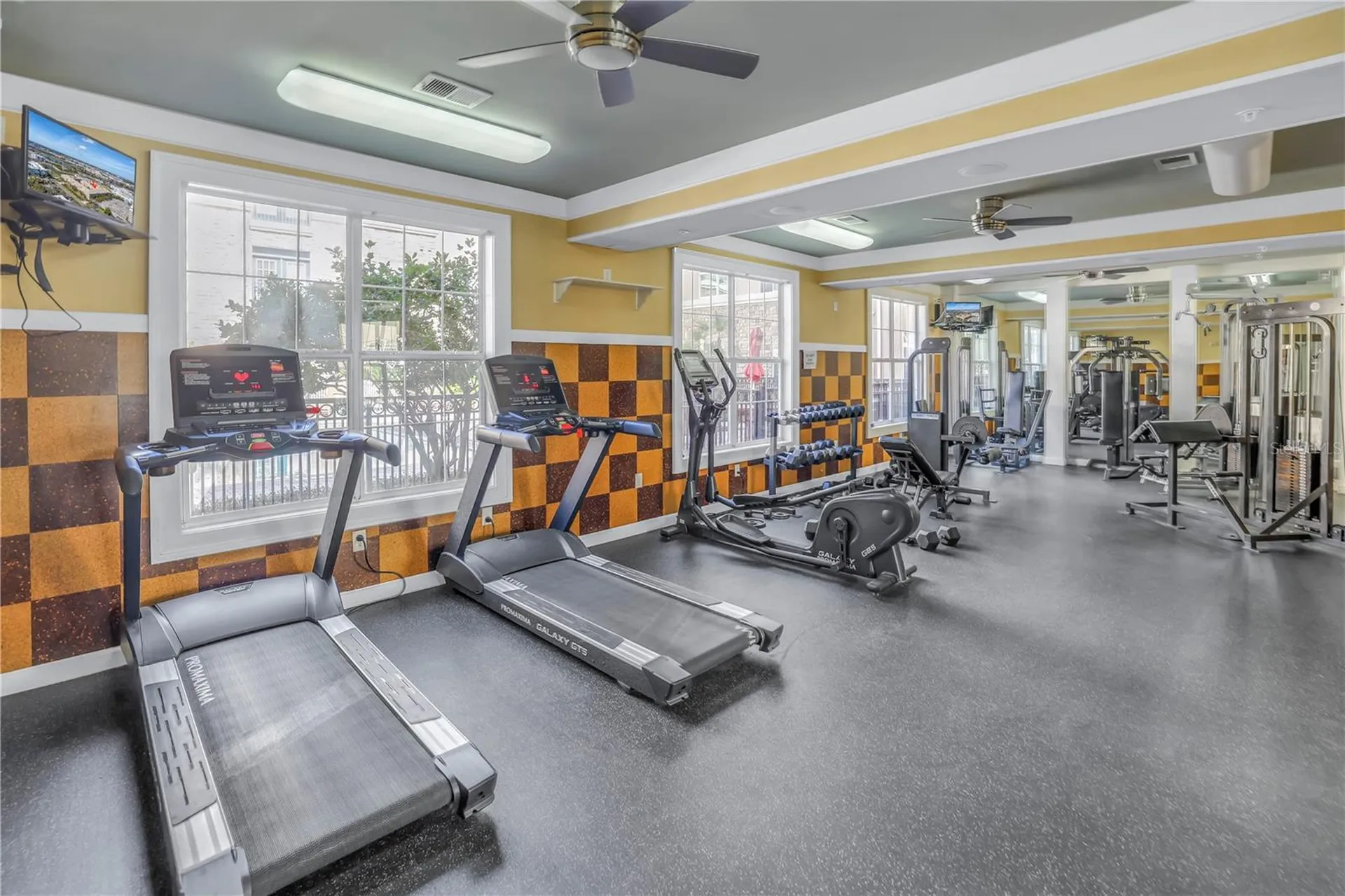 4221 W Spruce Street Tampa FL 33607