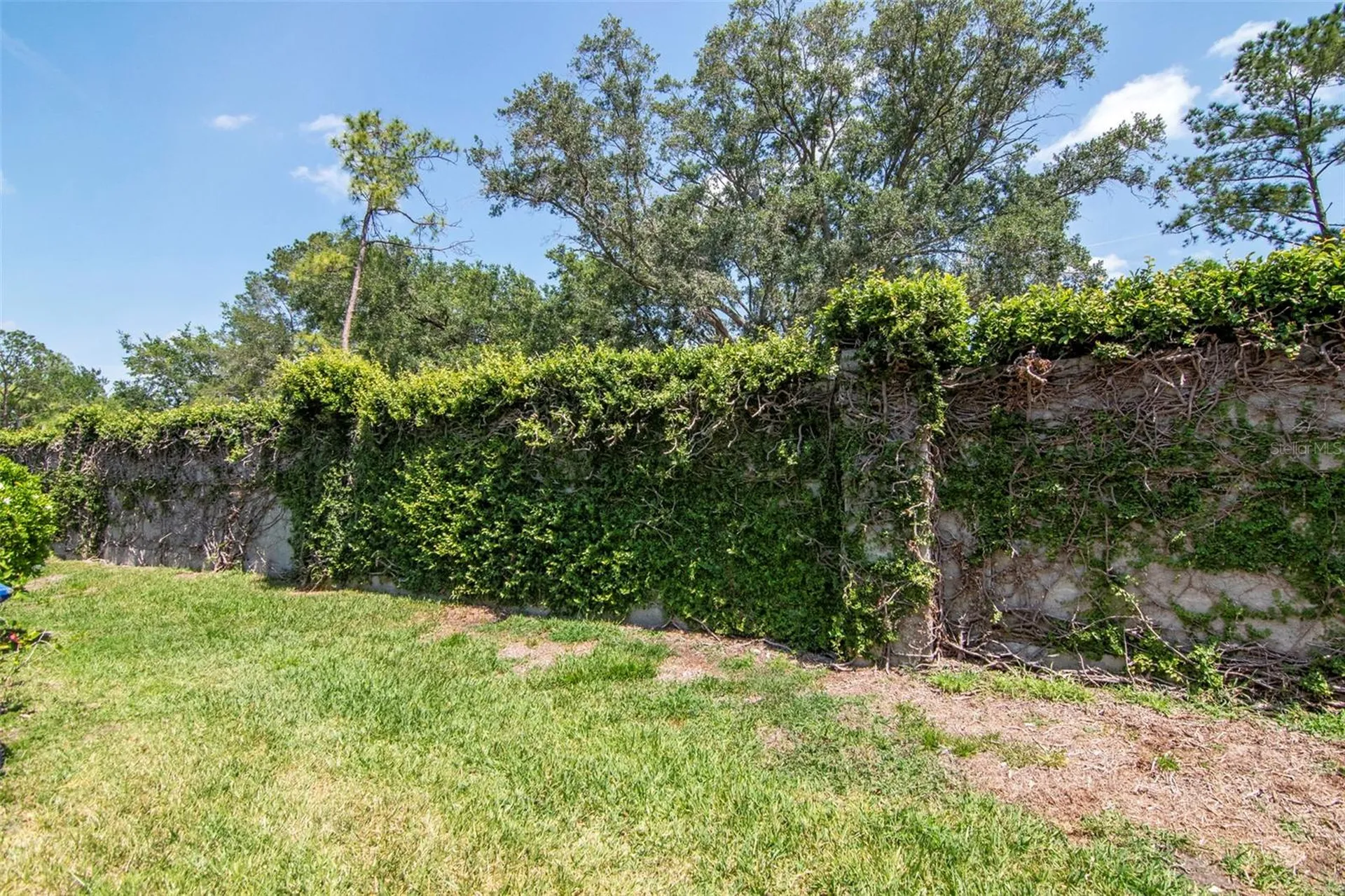 14053 Notreville Way Tampa FL 33624