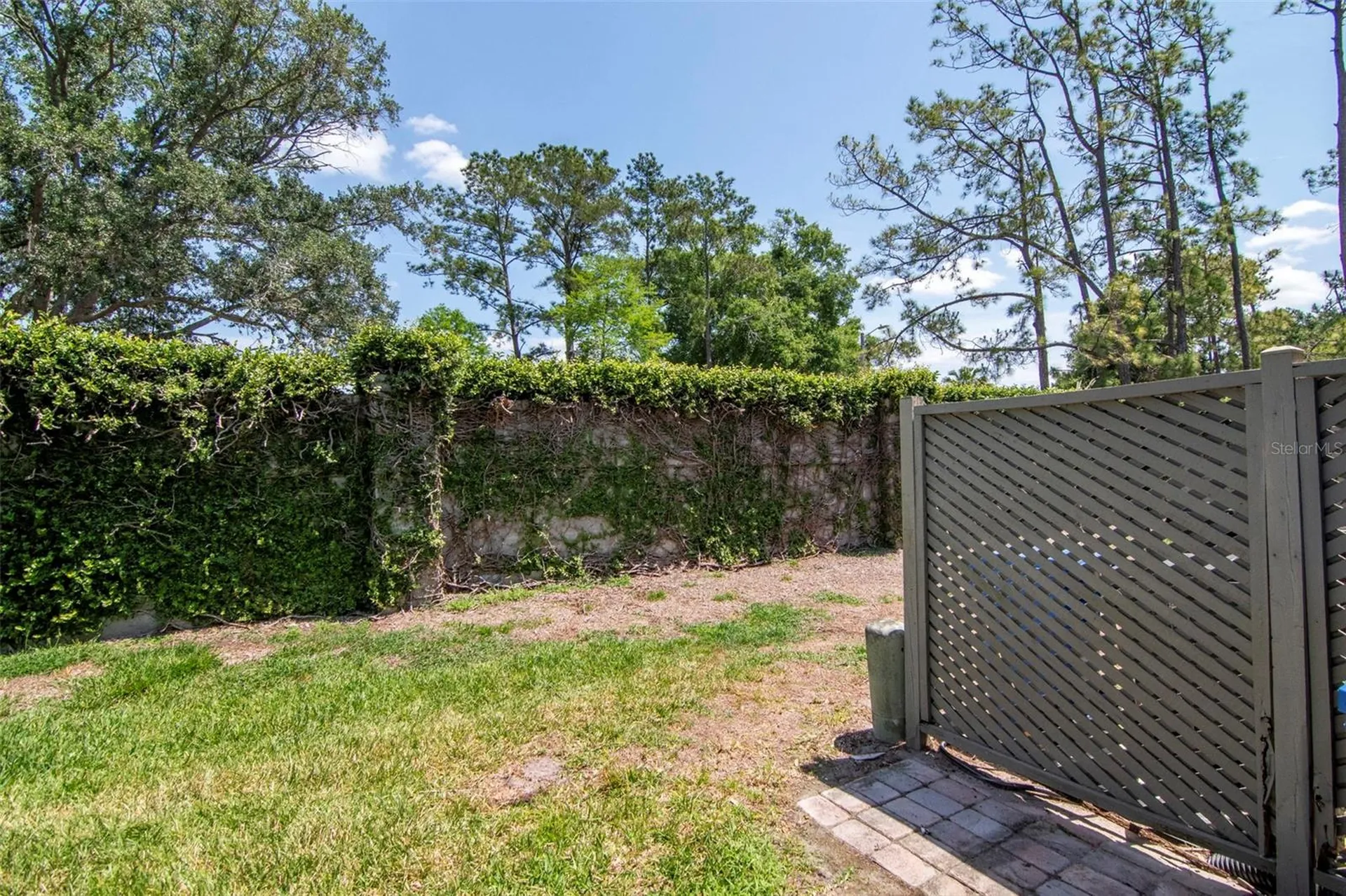 14053 Notreville Way Tampa FL 33624