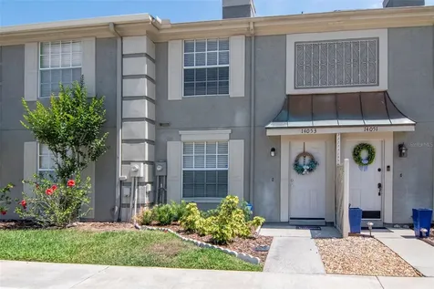 14053 Notreville Way Tampa FL 33624
