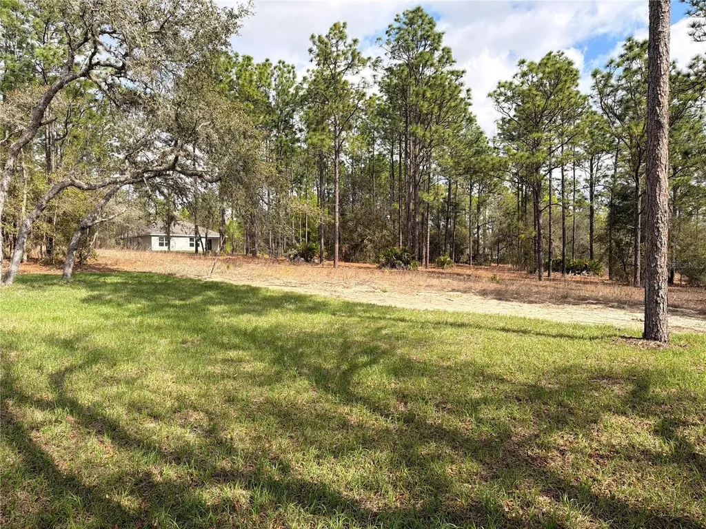 11527 N Condor Drive Dunnellon FL 34433