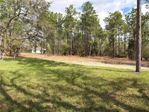 11527 N Condor Drive Dunnellon FL 34433