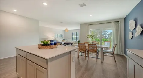 13258 Sassafras Trail Parrish FL 34219