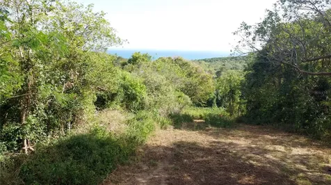 173 La Llave Road Vieques PR 00765
