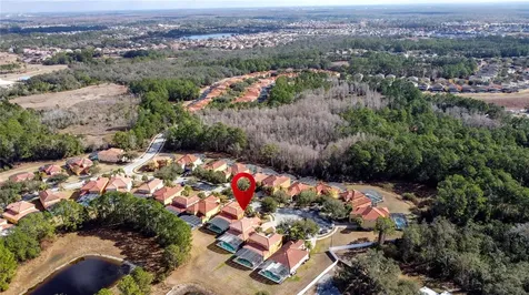 163 Tigerlily Court Davenport FL 33837