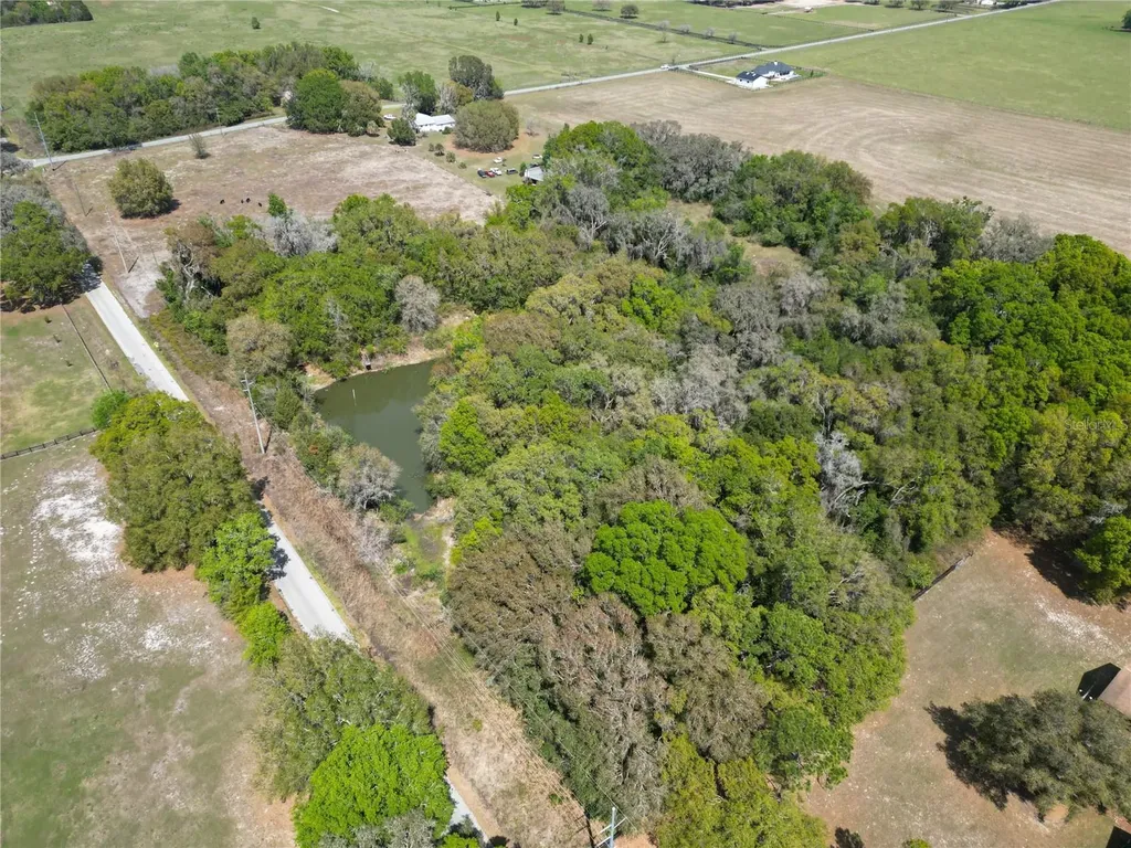 3095 County Road 202 Oxford FL 34484