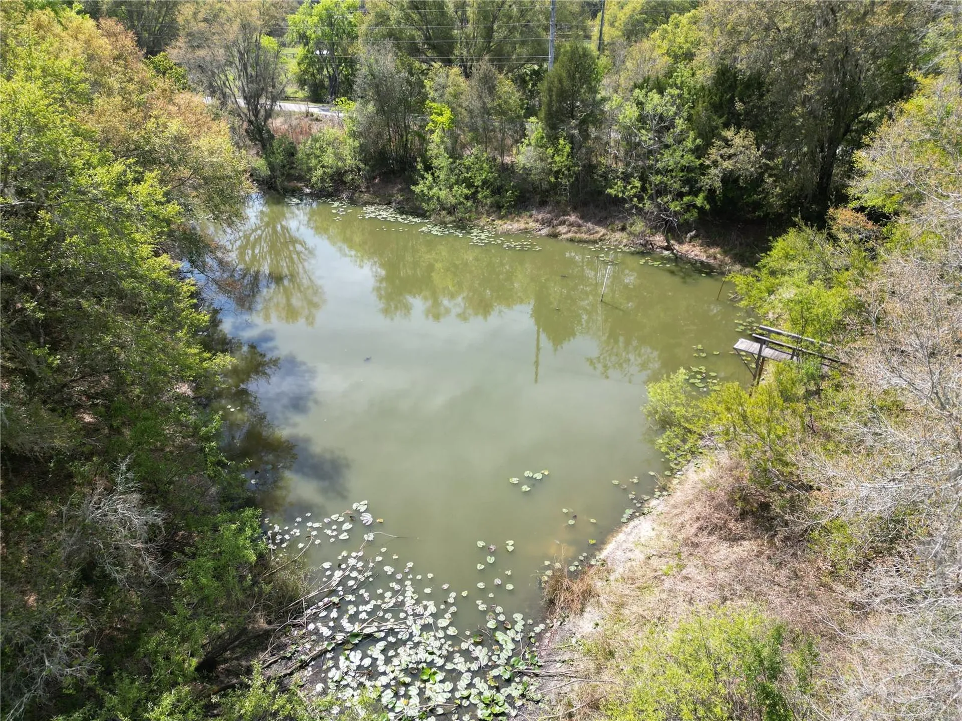 3095 County Road 202 Oxford FL 34484