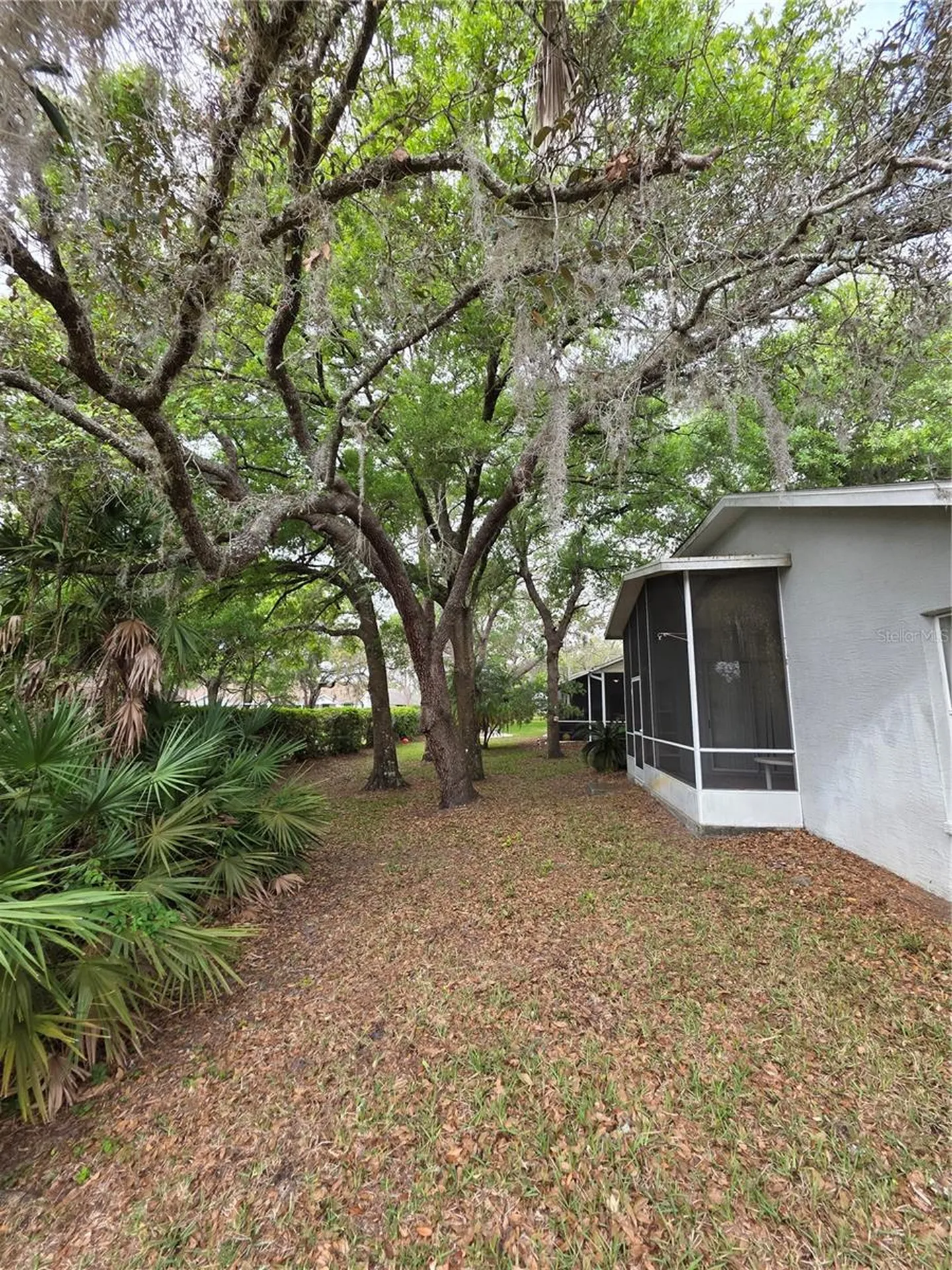 10904 Brookhaven Drive New Port Richey FL 34654