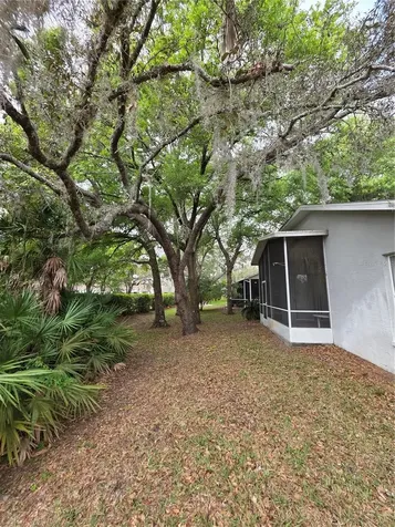 10904 Brookhaven Drive New Port Richey FL 34654