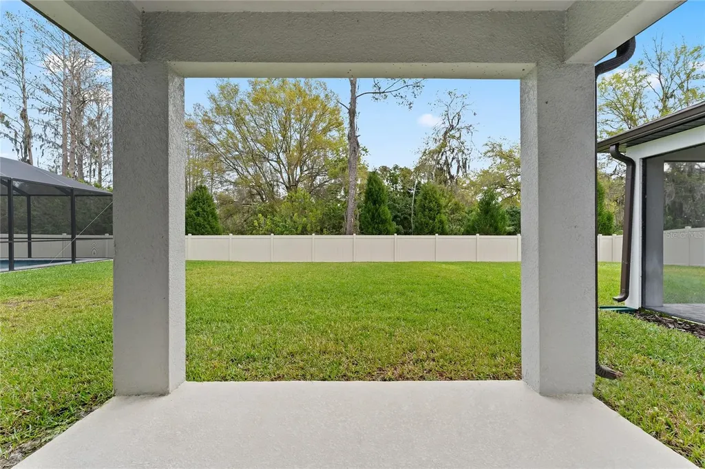 20602 Monza Loop Land O Lakes FL 34638