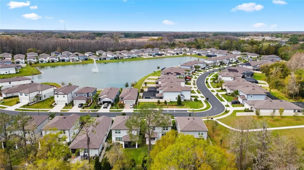 20602 Monza Loop Land O Lakes FL 34638