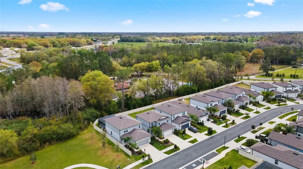 20602 Monza Loop Land O Lakes FL 34638