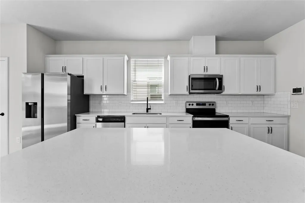 20602 Monza Loop Land O Lakes FL 34638