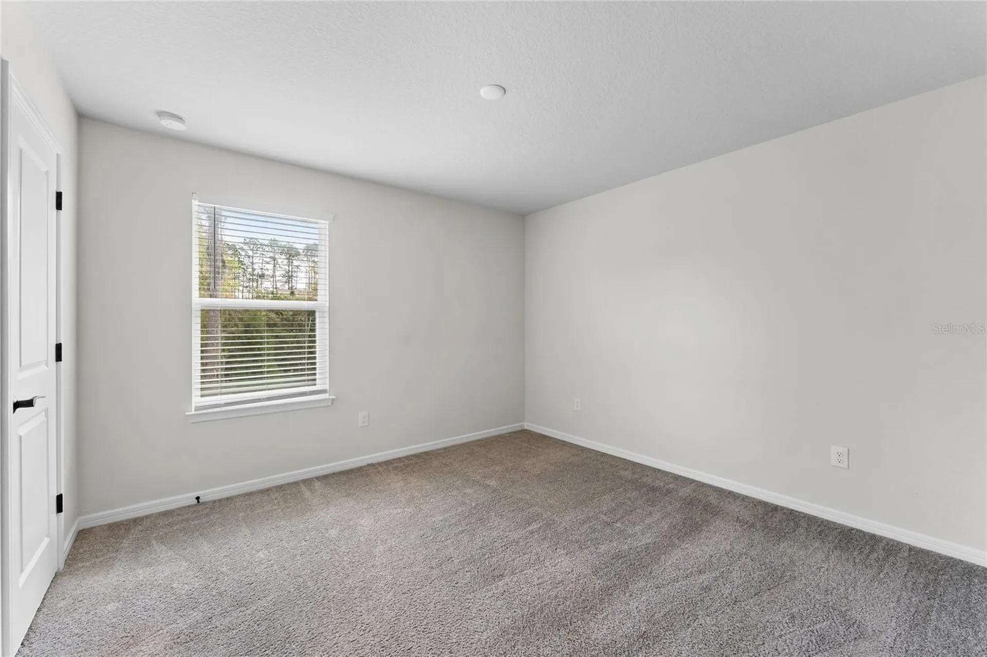 20602 Monza Loop Land O Lakes FL 34638