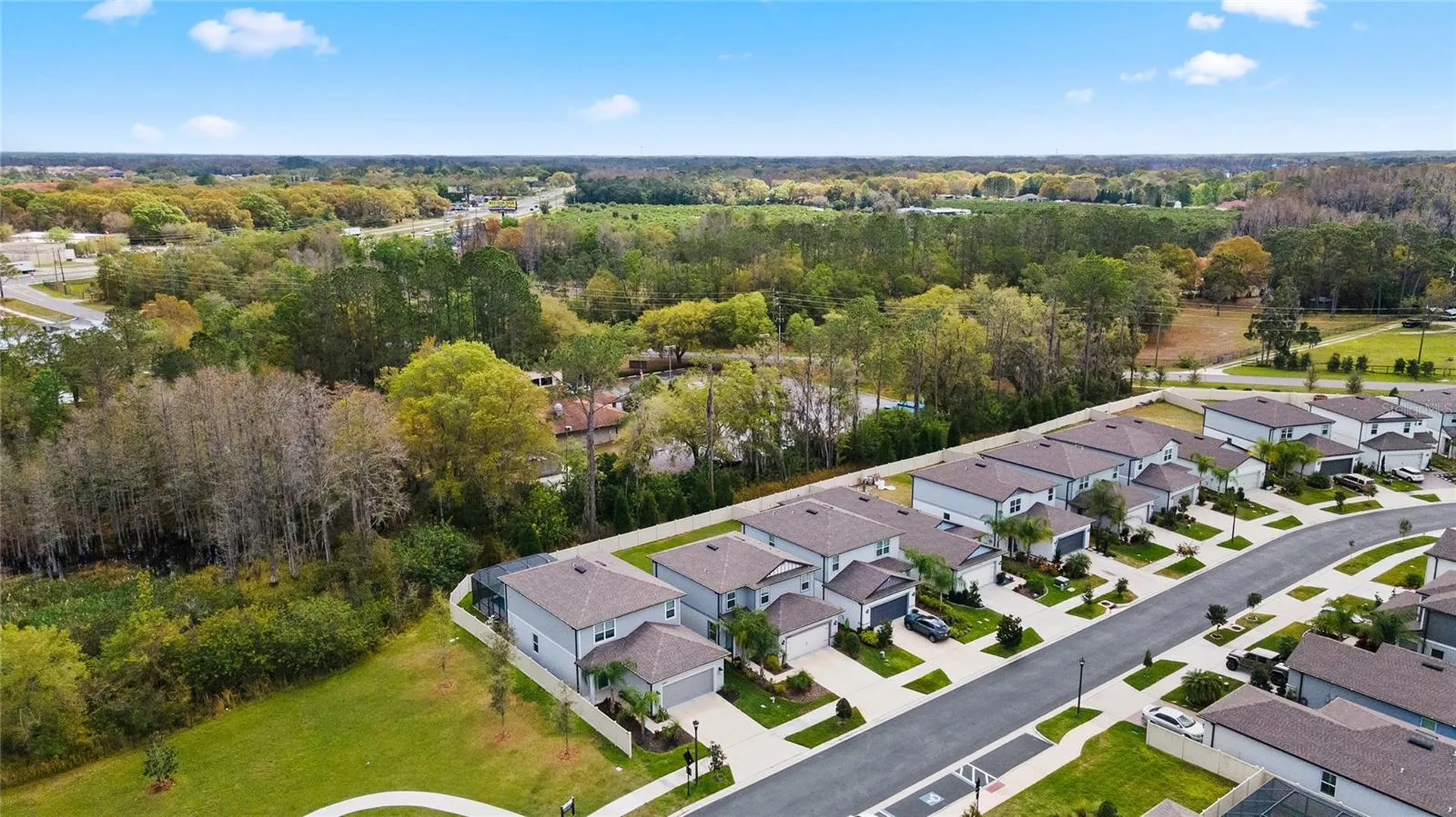 20602 Monza Loop Land O Lakes FL 34638