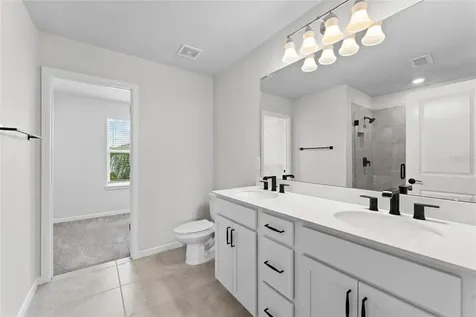 20602 Monza Loop Land O Lakes FL 34638
